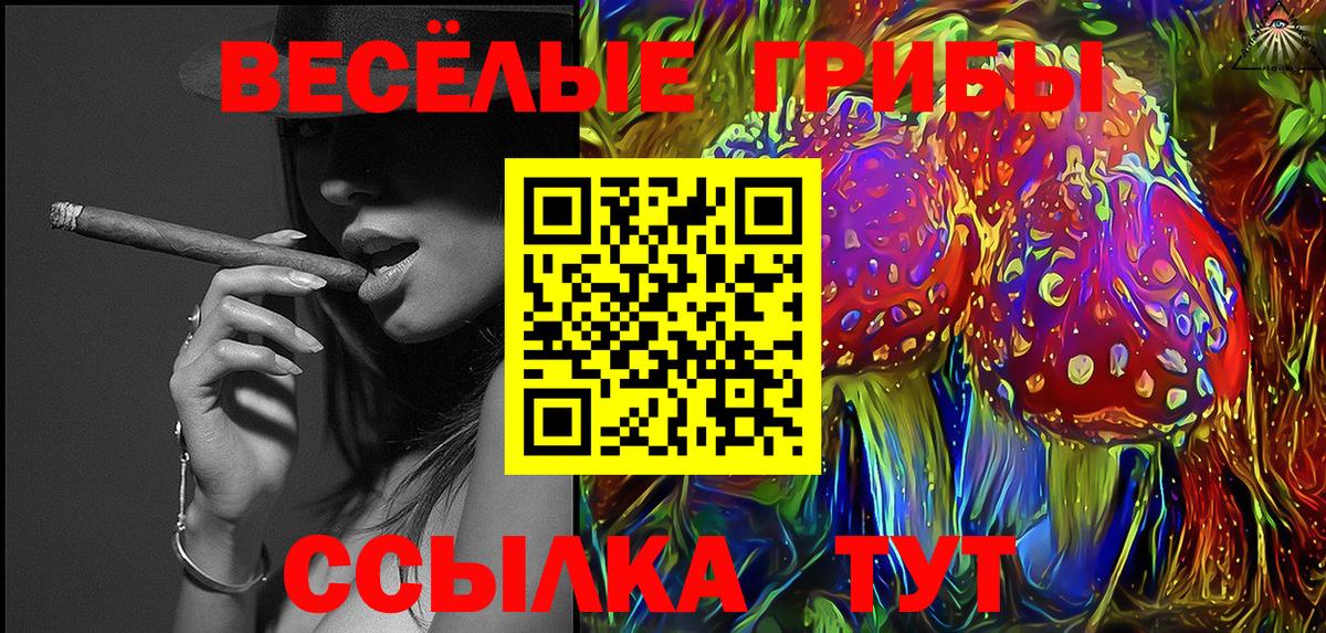 Камень-на-Оби  Псилоцибиновые грибы Magic Shrooms  Вход с VPN 